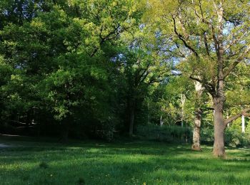 Tocht Stappen Tervuren - Forêt de Soigne Tervuren - Photo