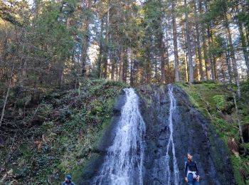 Randonnée Marche Sapois - Le Haut du Tôt  - Photo