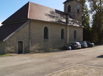 Trail Walking Les Premiers-Sapins - hautepierre - Photo