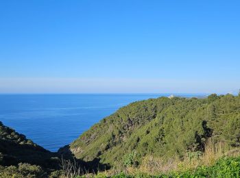 Randonnée Marche Six-Fours-les-Plages - Notre Dame du Mai - Photo