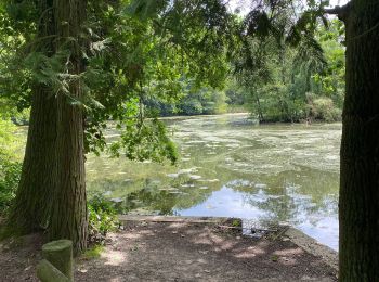 Tocht Stappen Beersel - Dworp/Sept-Fontaines/Colipain/bois de Halle/Dworp - Photo