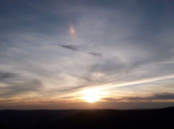 Randonnée A pied Le Ménil - La tête des champs  - Photo