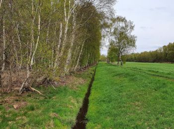 Tour Zu Fuß Kalbe - Rund um Heidenau-Kalbe Wanderweg - Photo