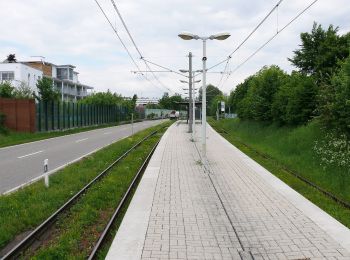 Trail On foot Ludwigsburg - Ludwigsburg - Aldingen - Photo