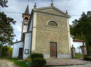 Randonnée A pied Colli Verdi - Anello Cà d'Agosto - Photo