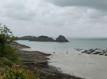 Excursión Senderismo Saint-Méloir-des-Ondes - de st meloir des ondes jusqu'à Cancale par la côte - Photo