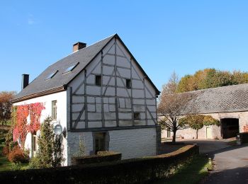 Trail On foot Marche-en-Famenne - 4. Promenade Cardamine - Photo