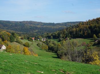 Trail Walking Le Hohwald - Le Hohwald Grande Bellevue Cascade de l'Andlau - Photo