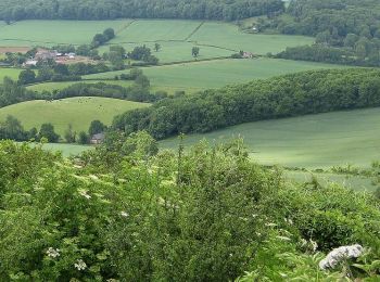 Trail On foot  - Marcle Ridge Circular Walk - Photo