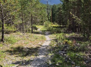 Trail Walking Val-des-Prés - tour de Dormillouse - Photo