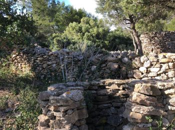 Excursión Senderismo Roquefort-des-Corbières - Roquefort des corbières  - Photo