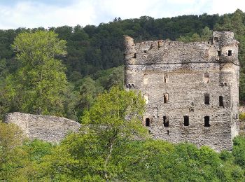 Randonnée A pied Sosberg - Traumschleife Masdascher Burgherrenweg - Photo