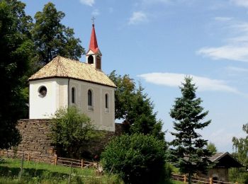 Tour Zu Fuß Eppan an der Weinstraße - IT-4 - Photo