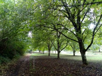 Tour Wandern Beaumontois en Périgord - Labouquerie 16,3km - Photo