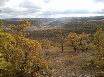 Excursión Senderismo Douelle - Douelle_Mader/Combe de Vadaillac/les Roubines 6 - Photo