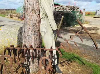 Tocht Te voet Presles-en-Brie - L 11 Presles-en-Brie - Photo