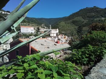 Trail Walking Vernazza - Corniglia gare Veratta - Photo