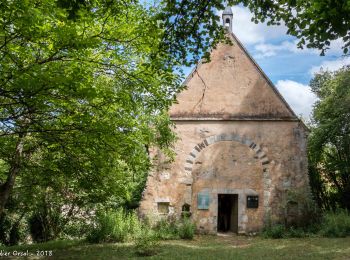 Percorso Marcia Arcisses - Coudreceau - Thiron-Gardais 9,2 km - Photo