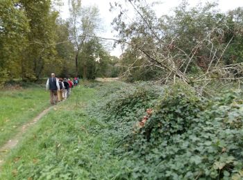 Randonnée Marche nordique Sauveterre-de-Béarn - BELLOCQ / SAUVETERRE DE BEARN RS - Photo