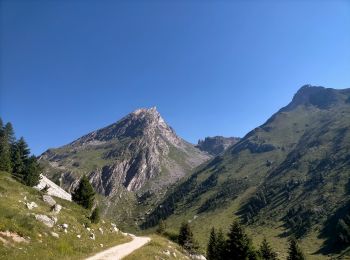 Trail Walking Villarodin-Bourget - 73 Maurienne L'orgère Cols de la Masse et du Barbier - Photo