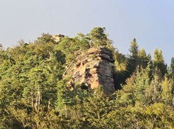 Tour Wandern Lembach - Les 3 châteaux - Photo