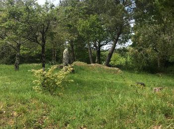 Excursión Senderismo Plougoumelen - Mn le samedi Ffe - Photo