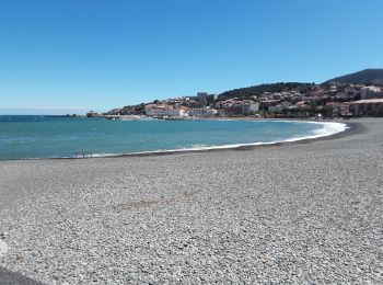 Randonnée Marche Banyuls-sur-Mer - Découverte de Banyuls  - Photo