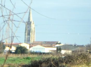 Tocht Stappen Marennes-Hiers-Brouage - Le Moulin des Loges 17 - Photo