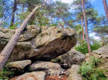 Tocht Stappen Recloses - Boucle recloses Nemours Grez/loing - Photo