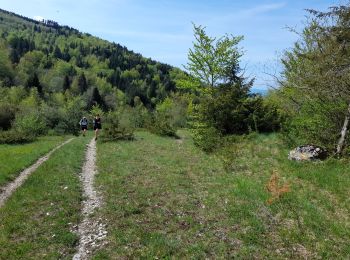 Tour Wandern Arvière-en-Valromey - SUR LYAND NORD via corniche & balcon Valromey et GR9 - Photo