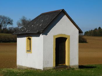 Percorso A piedi Waischenfeld - Waischenfeld Rundwanderweg Blauer Ring - Photo