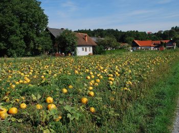 Tour Zu Fuß Stainz - Marhofer Genußwanderweg - Photo