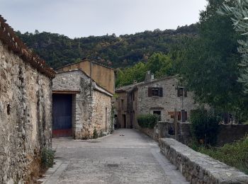 Tocht Stappen La Vacquerie-et-Saint-Martin-de-Castries - GR7 St Guilhem le Désert! - Photo