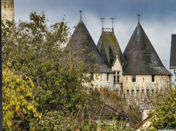 Tocht Stappen Nogent-le-Rotrou - Nogent-le -Rotrou, une ville à la campagne 8,6km - Photo