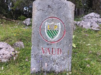 Tocht Stappen Prémanon - mon 8 de La DÔLE  - Photo