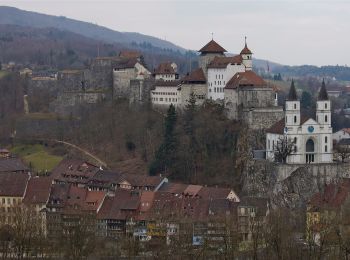 Randonnée A pied Wangen bei Olten - Wangen bei Olten - Born - Photo