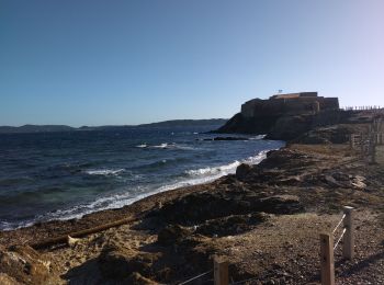 Tocht Fietstoerisme Solliès-Pont - Presqu'île de Giens  - Photo