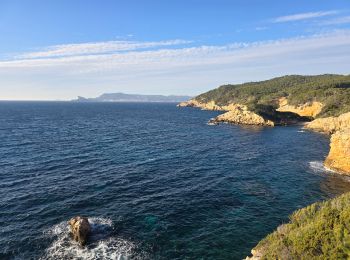 Excursión Senderismo Saint-Cyr-sur-Mer - Madrague port dhalon  - Photo