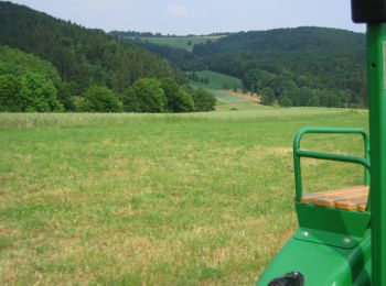 Percorso A piedi Auen - VitalTour: Willigisweg - Photo