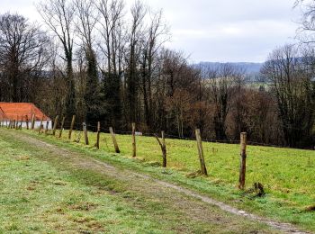 Randonnée Marche Ellezelles - Ellezelles - Photo