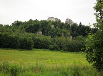 Tour Zu Fuß  - Zielony szlak pieszy - Photo