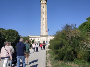 Tocht Wegfiets Saint-Clément-des-Baleines - 2024-09-17 (île de ré) saint Clément des baleines - les portes en ré. - Photo