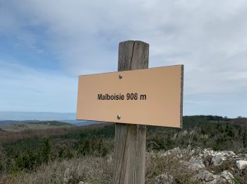 Tour Wandern Missègre - Valmigere  - Photo