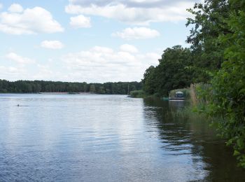 Tocht Te voet Mixdorf - Rundwanderweg See - Photo