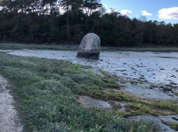 Excursión Senderismo Loctudy - Pont l’abbé menhir mouillé  - Photo