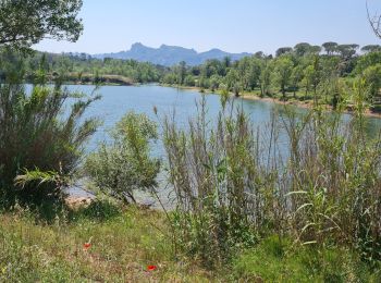 Excursión Bici de montaña Le Muy - chateau du rouet palayson lac les doiseiies - Photo