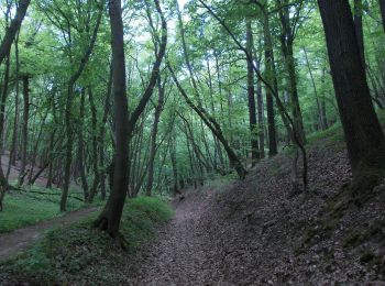 Tocht Te voet Schönburg - Kötschbachtalweg - Photo