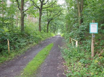 Tour Zu Fuß Neustadt am Rübenberge - Schneeren Rundwanderweg S2 - Photo