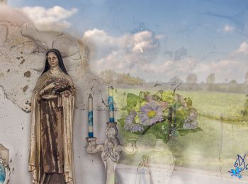 Trail Walking Ellezelles - Lahamaide et sa campagne au printemps - Photo