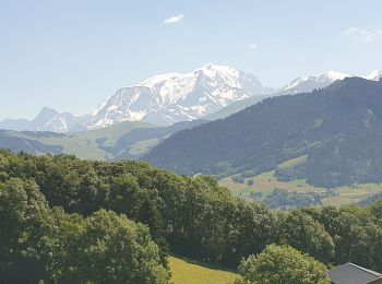 Tocht Stappen Praz-sur-Arly - Praz sur Arly. Epines blanches - Photo